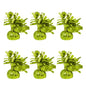 6Pcs Balloon Weight Holder Anti-Floating Foil Paper-Wrapped Long-Lasting Balloon Weights Stainless Balloon Fixation Tool