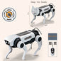 New Science and Education Solar Energy Machine Dog Steam Manual DIY Assembly Puzzle Experiment Robot Male and Female Toys